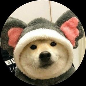 Meet your Posher, Chuotxa